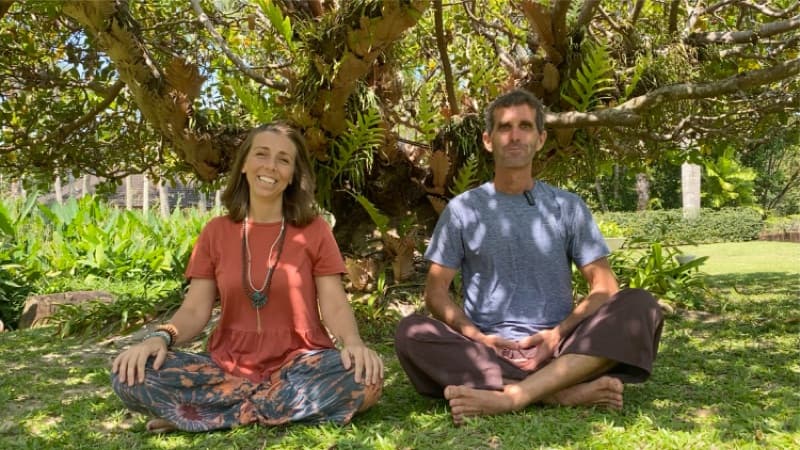 Holistic Health and Wellness Program